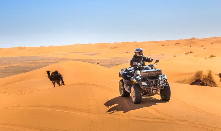 Non-Touristic Safari - Hidden Desert Trails
